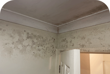 Mould-removal