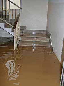 Emergency water damage in sydney